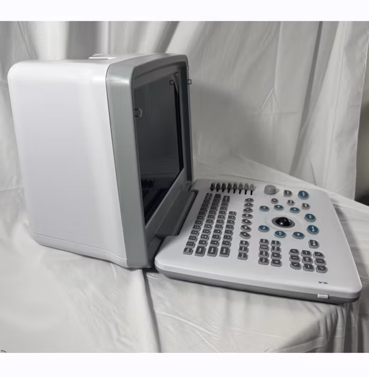 Factory Price Hospital Medical Sonoscape Portable Laptop 2D 3D 4D Color Doppler Ultrasound Scanner Machine for Veterinary and Human
