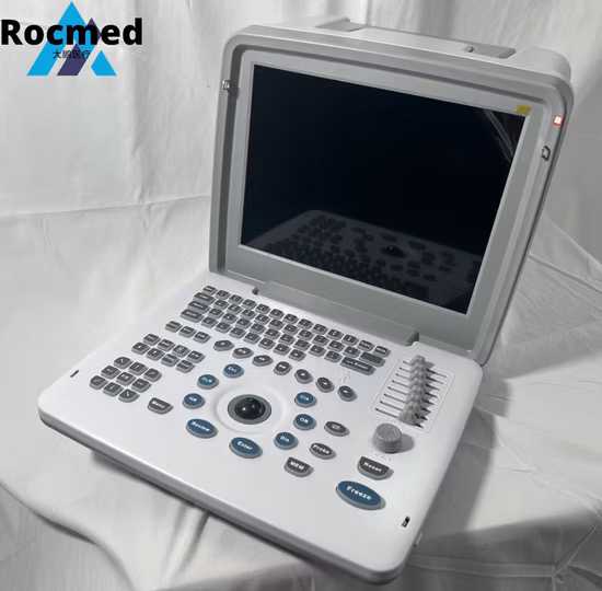 Factory Price Hospital Medical Sonoscape Portable Laptop 2D 3D 4D Color Doppler Ultrasound Scanner Machine for Veterinary and Human